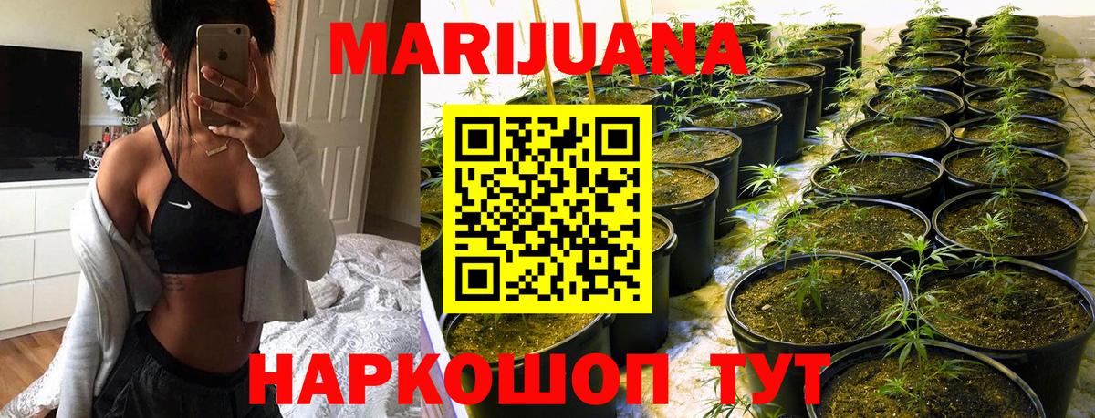 Шишки марихуана планчик Балашов